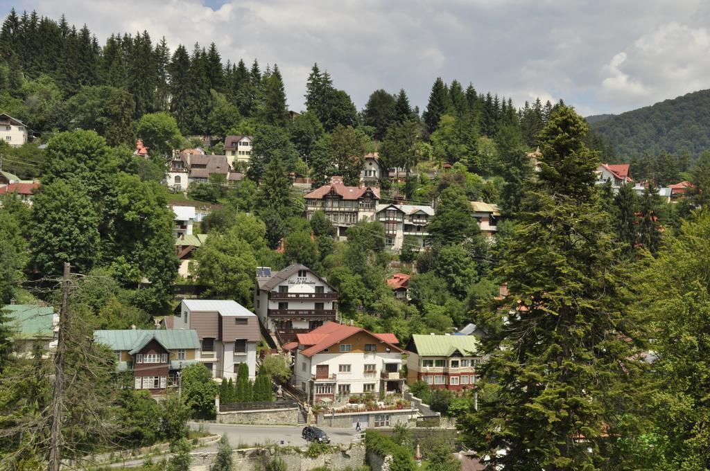La Monitori Hotell Sinaia Rum bild