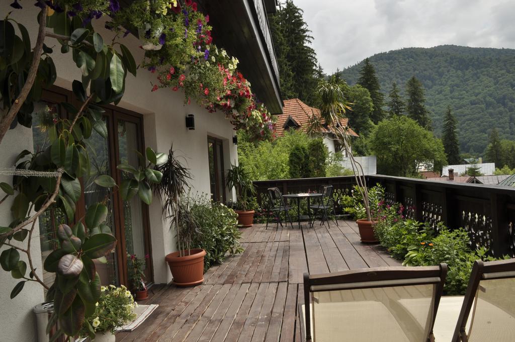 La Monitori Hotell Sinaia Rum bild